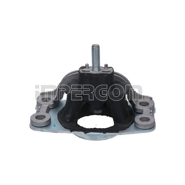 Variklio montavimas ORIGINAL IMPERIUM 36824