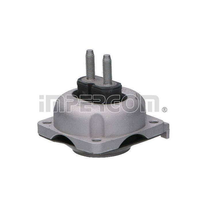 Variklio montavimas ORIGINAL IMPERIUM 610080