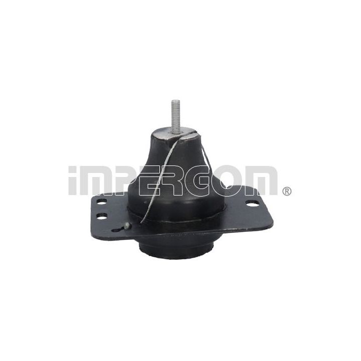 Variklio montavimas ORIGINAL IMPERIUM 610290