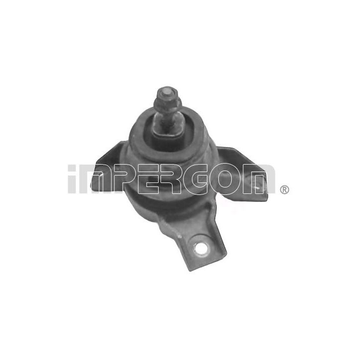 Variklio montavimas ORIGINAL IMPERIUM 70730