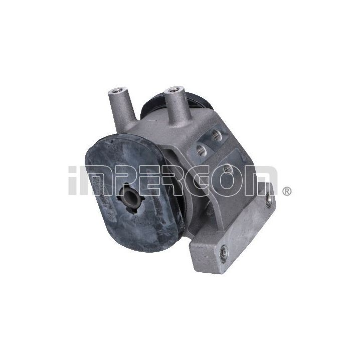 Variklio montavimas ORIGINAL IMPERIUM 70736