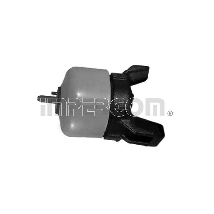 Variklio montavimas ORIGINAL IMPERIUM 70788