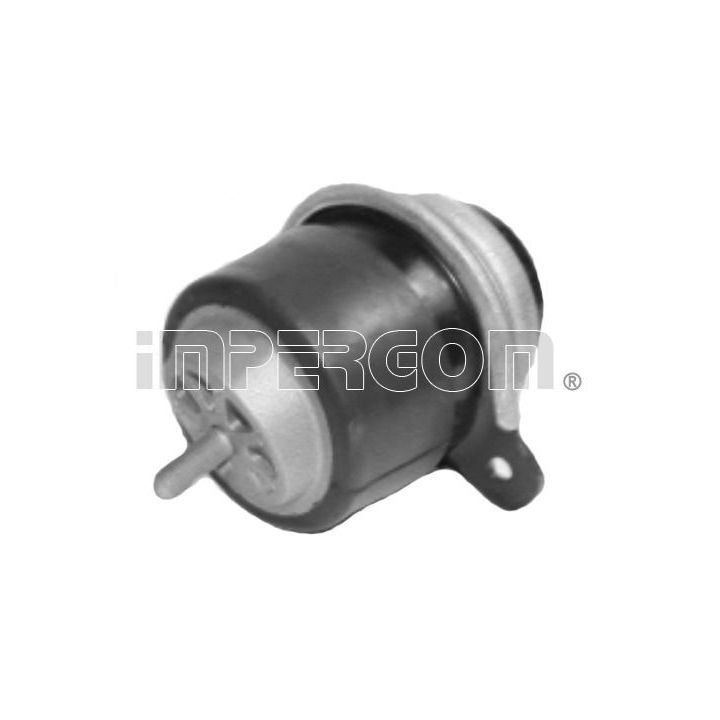 Variklio montavimas ORIGINAL IMPERIUM 70853