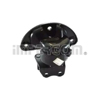 Variklio montavimas ORIGINAL IMPERIUM 72324