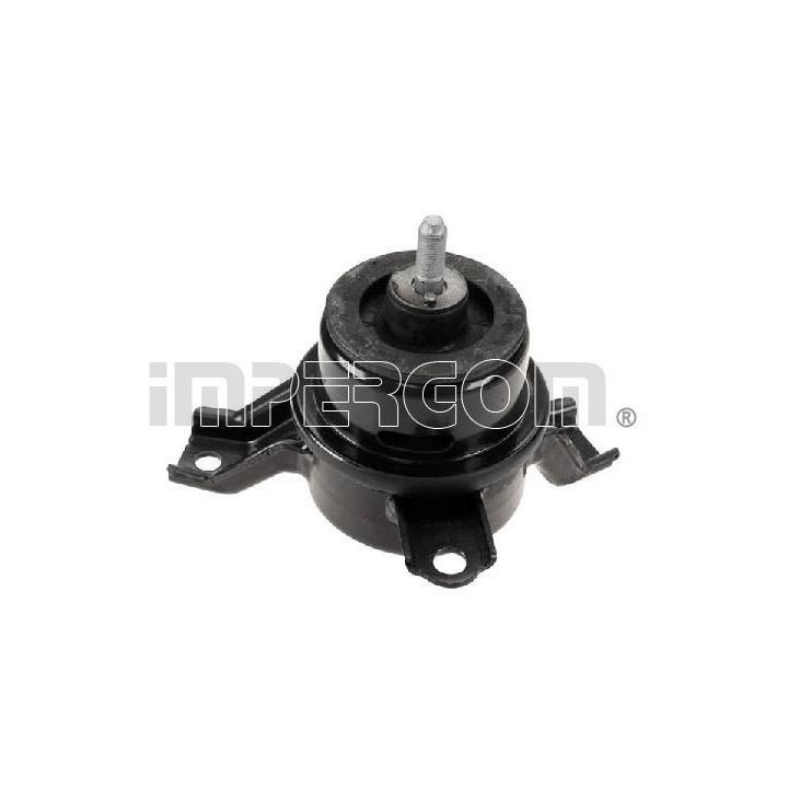 Variklio montavimas ORIGINAL IMPERIUM 72344