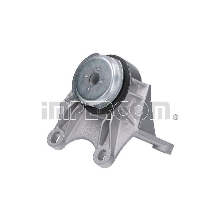 Variklio montavimas ORIGINAL IMPERIUM 29110