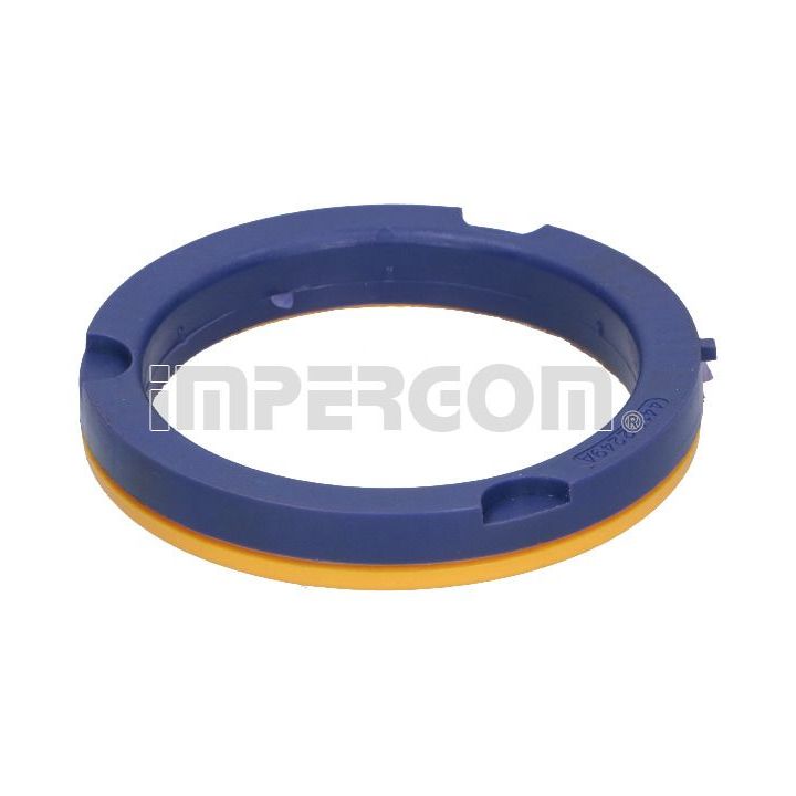 Frikcinis guolis, pakabos statramsčio atramos montavimas ORIGINAL IMPERIUM 30790