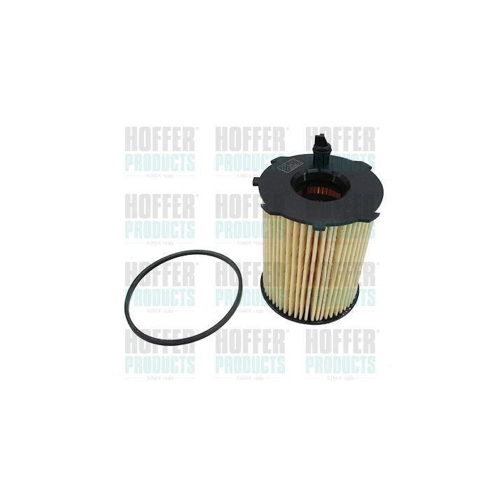 Alyvos filtras HOFFER 14049G