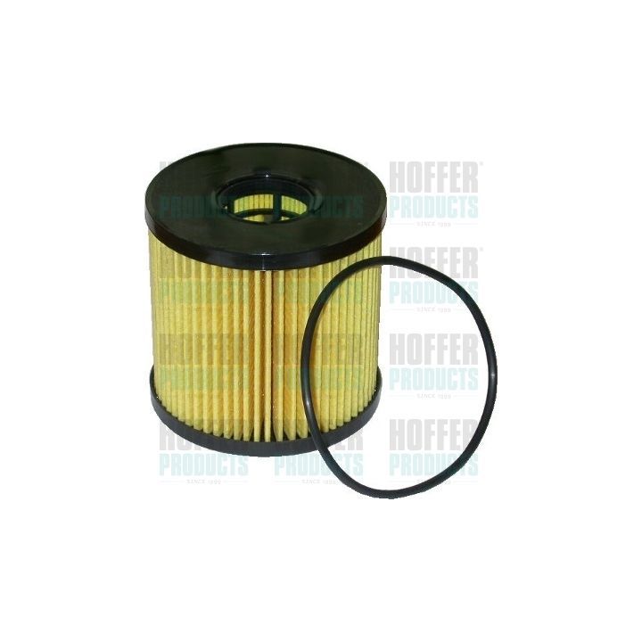 Alyvos filtras HOFFER 14052