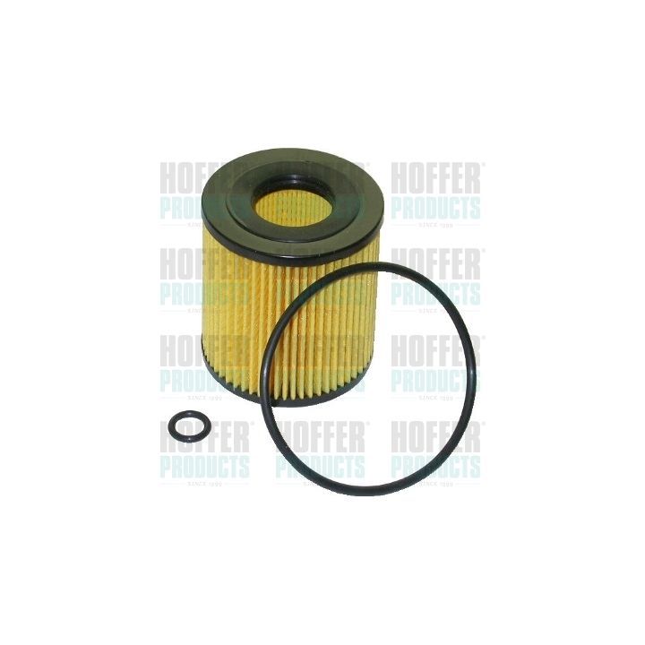Alyvos filtras HOFFER 14065