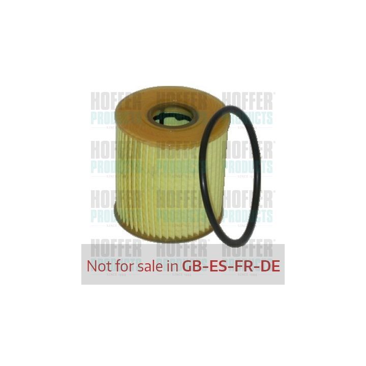 Alyvos filtras HOFFER 14084