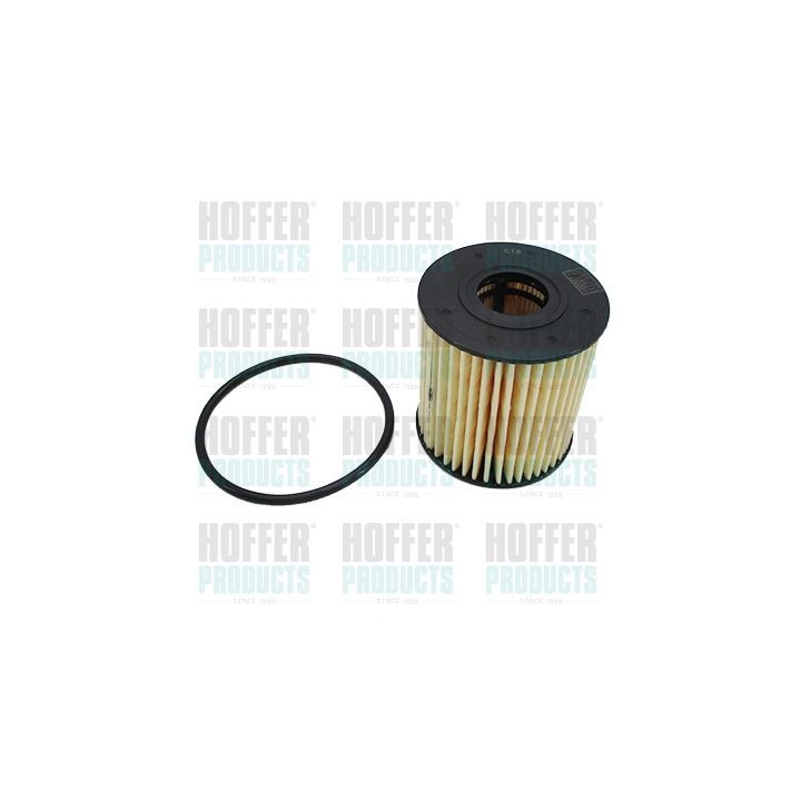 Alyvos filtras HOFFER 14084G