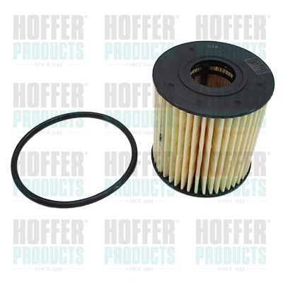 Alyvos filtras HOFFER 14084G