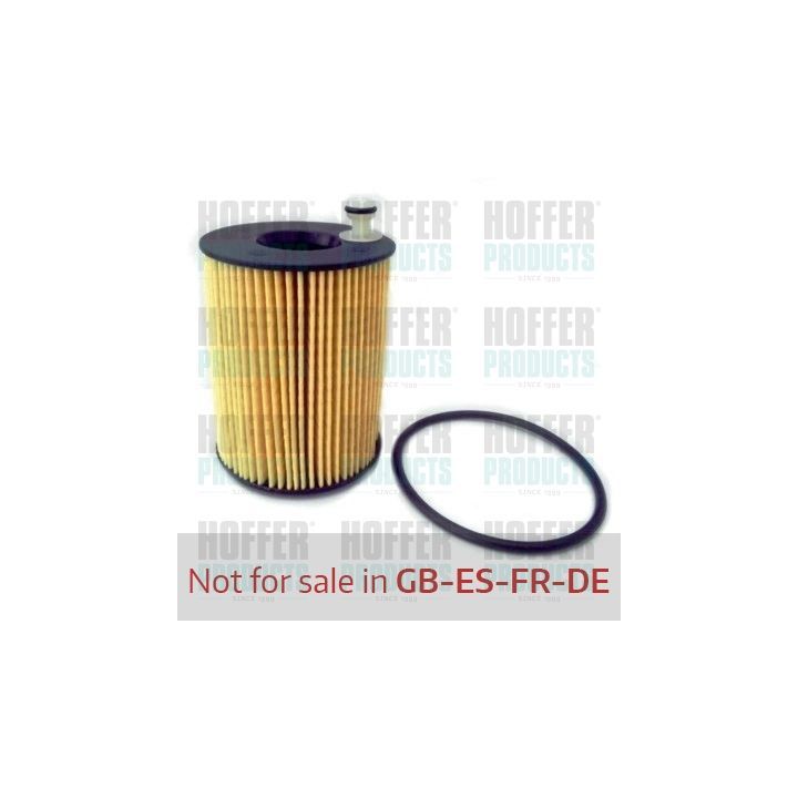 Alyvos filtras HOFFER 14142