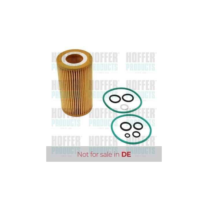Alyvos filtras HOFFER 14167