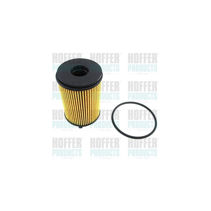 Alyvos filtras HOFFER 14459