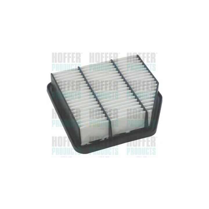 Oro filtras HOFFER 18349