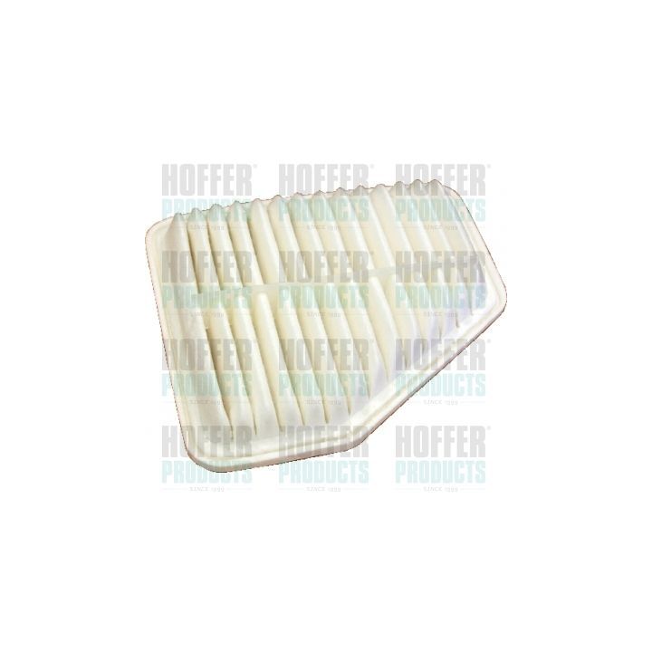 Oro filtras HOFFER 18373