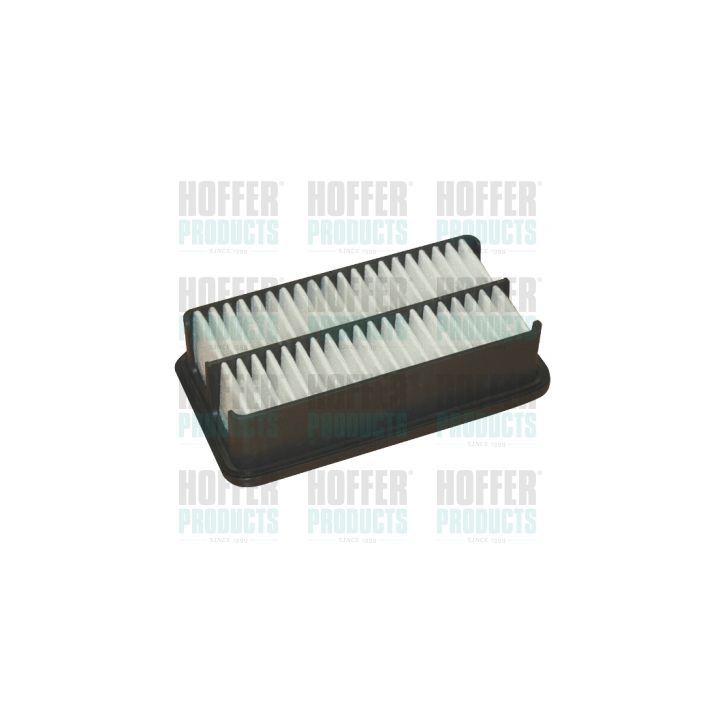 Oro filtras HOFFER 18374