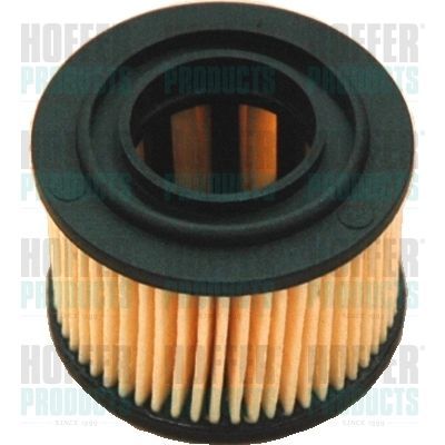 Kuro filtras HOFFER 4877