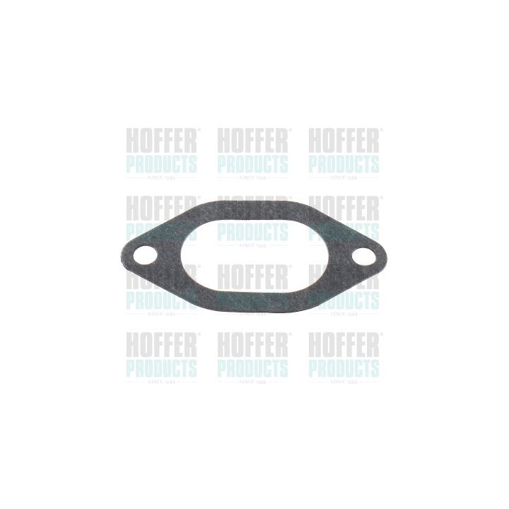 Tarpiklis, įsiurbimo kolektorius HOFFER 016143