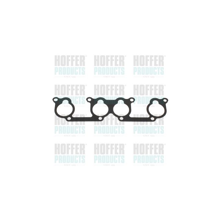 Tarpiklis, įsiurbimo kolektorius HOFFER 016157