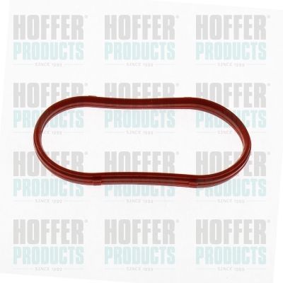 Tarpiklis, įsiurbimo kolektorius HOFFER 016178