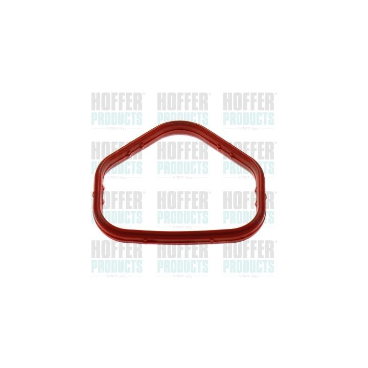 Tarpiklis, įsiurbimo kolektorius HOFFER 016192