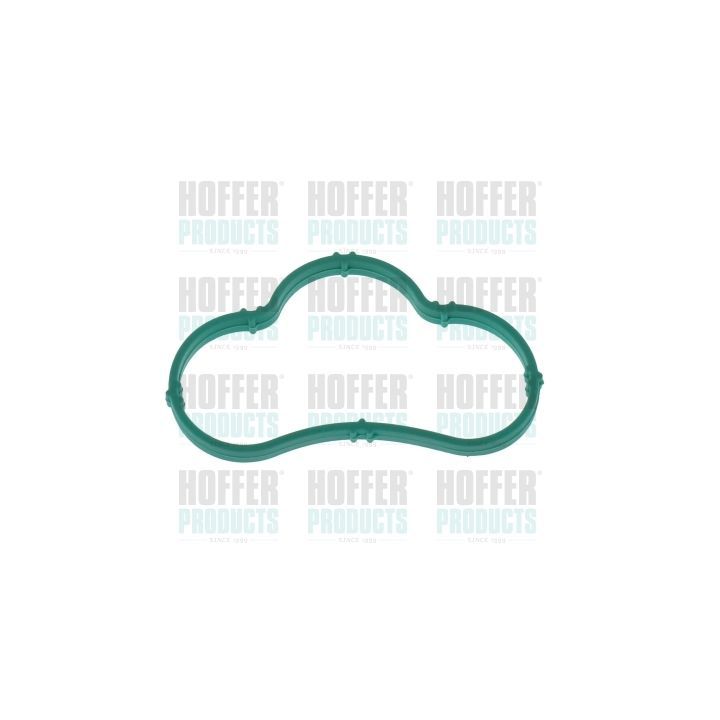 Tarpiklis, įsiurbimo kolektorius HOFFER 016198