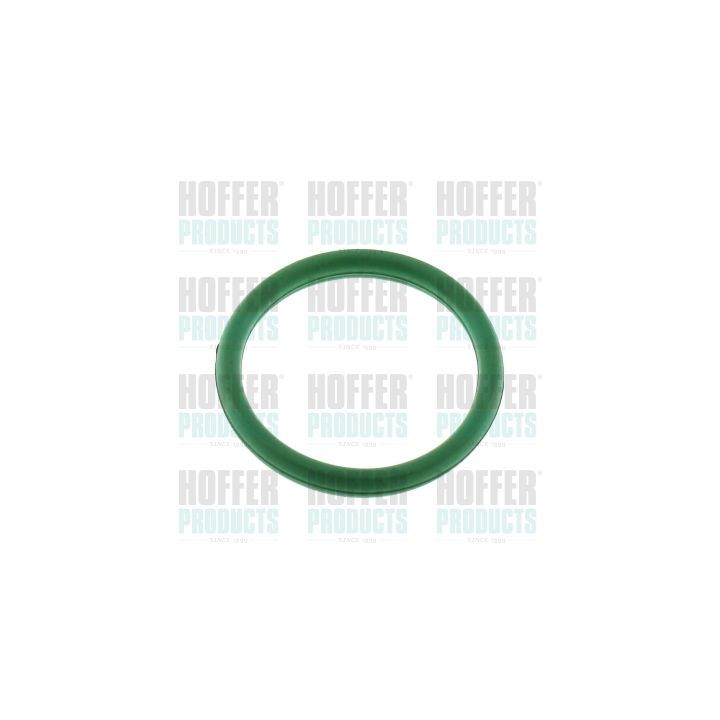 Tarpiklis, įsiurbimo kolektorius HOFFER 016200