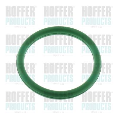 Tarpiklis, įsiurbimo kolektorius HOFFER 016200