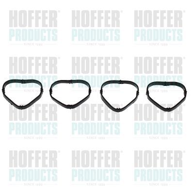 Tarpiklis, įsiurbimo kolektorius HOFFER 016204