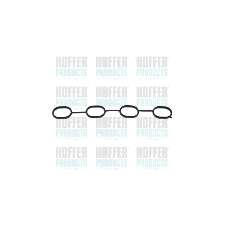 Tarpiklis, įsiurbimo kolektorius HOFFER 016222