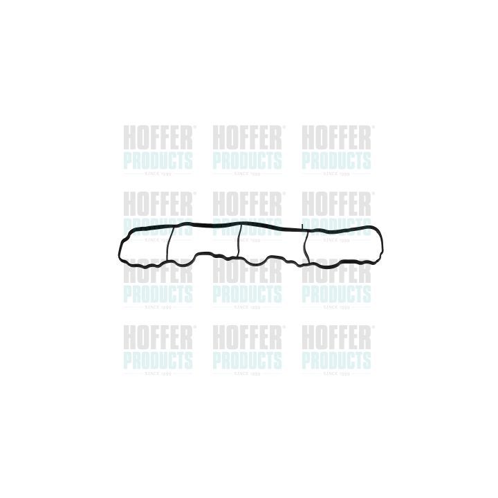 Tarpiklis, įsiurbimo kolektorius HOFFER 016225