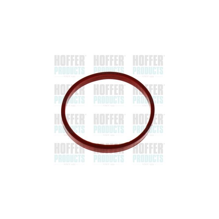 Tarpiklis, įsiurbimo kolektorius HOFFER 016244