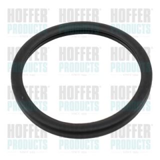 Tarpiklis, termostatas HOFFER 016116