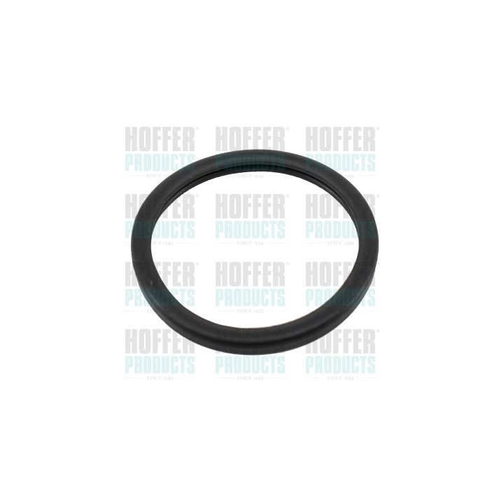 Tarpiklis, termostatas HOFFER 016116