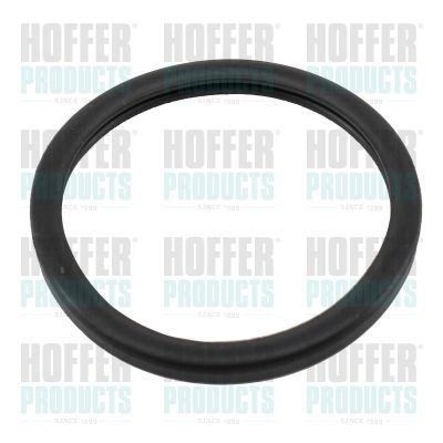 Tarpiklis, termostatas HOFFER 016116