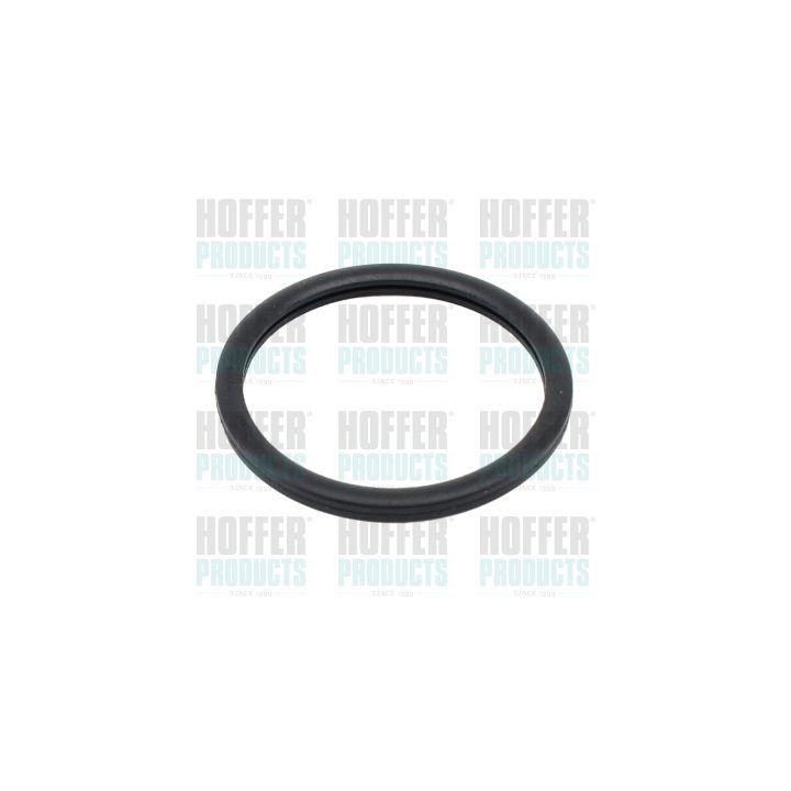 Tarpiklis, termostatas HOFFER 01656