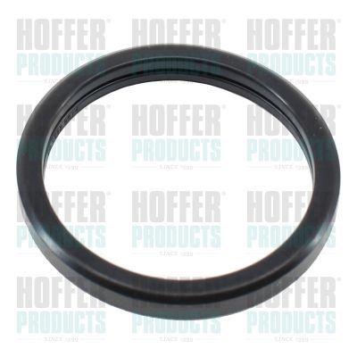 Tarpiklis, termostatas HOFFER 01658