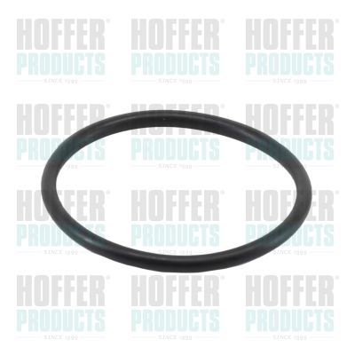 Tarpiklis, termostatas HOFFER 01669