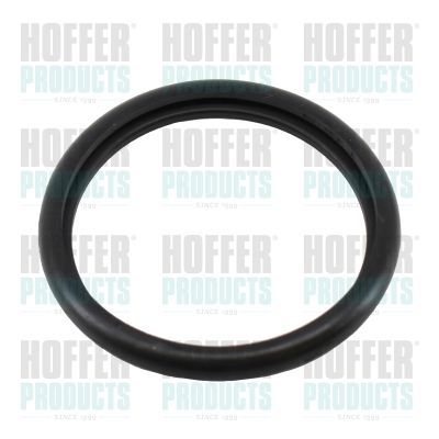 Tarpiklis, termostatas HOFFER 01670
