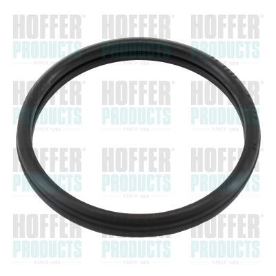 Tarpiklis, termostatas HOFFER 01674