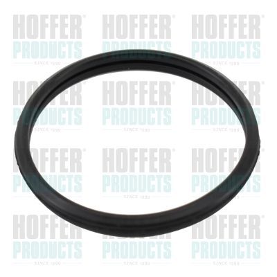 Tarpiklis, termostatas HOFFER 01677