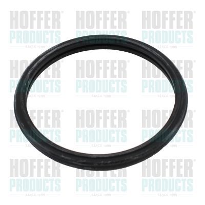 Tarpiklis, termostatas HOFFER 01678