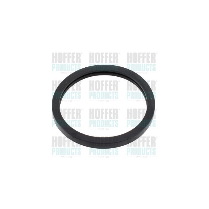 Tarpiklis, termostatas HOFFER 01687