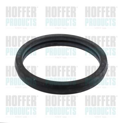 Tarpiklis, termostatas HOFFER 01694