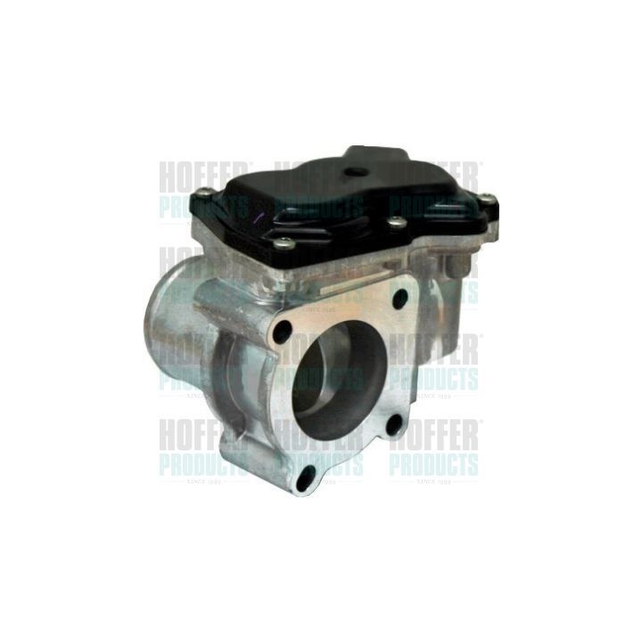 Droselio korpusas HOFFER 7519136