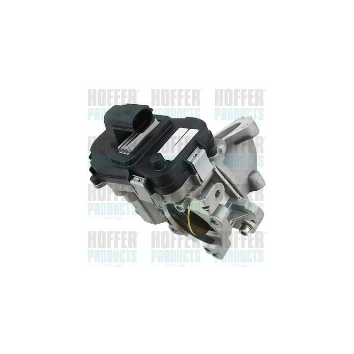 Droselio korpusas HOFFER 7519500