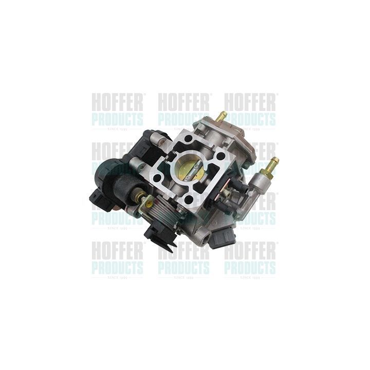 Droselio korpusas HOFFER 7519558